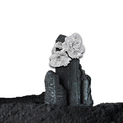 Ring 2 Flowers With Diamonds